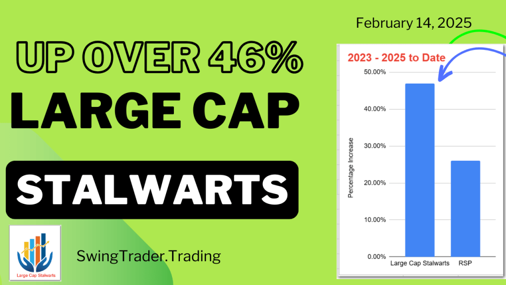 Up 46% – Large Cap Stalwarts Update – February&nbsp;2025